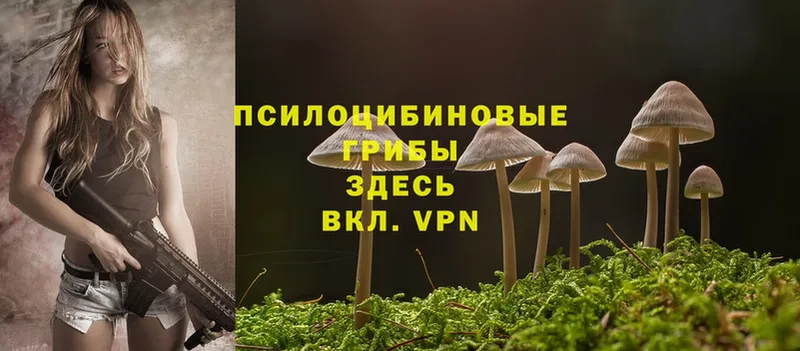 Псилоцибиновые грибы MAGIC MUSHROOMS Мезень